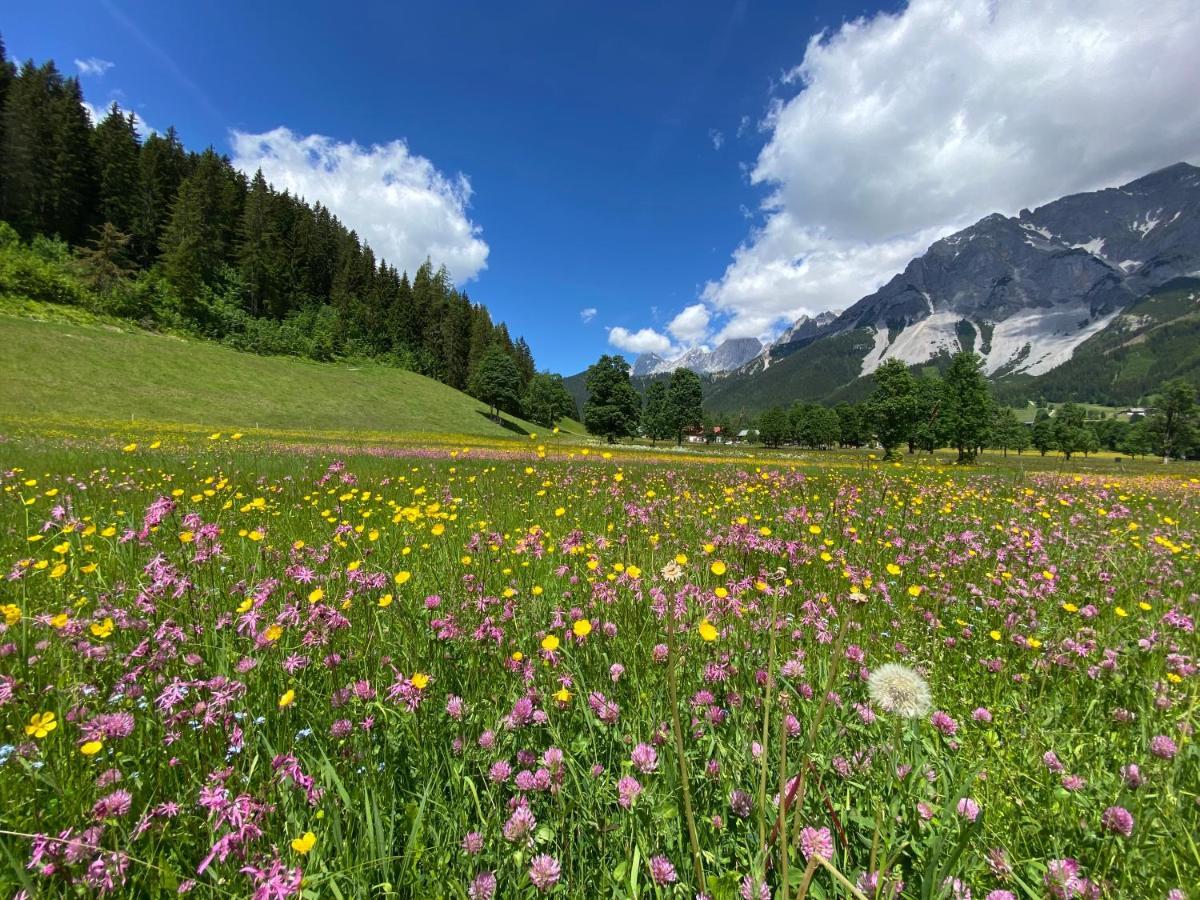 Apartamento Moderne Kaminstube Ramsau am Dachstein Exterior foto